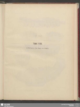 Tafel VIII