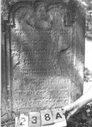 Grabstein 238 (Index: 99609874) Material: Sandstein Zustand: verwittert, zerbrochen, weitgehender Textverlust Maße HxBxT: 98x66x12 cm Beschreibung: Stele, Abschluß Sonderform, Schriftfeld eingetieft, eingezogener dreibogiger Abschluß: Grabstein 238A