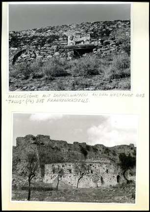 Markuslöwe am Frankenkastell