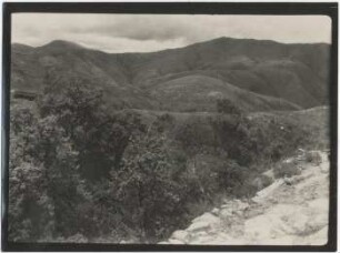 Schluchtgehölze in der Cadena de El Curi zwischen Cochabamba und Mizque