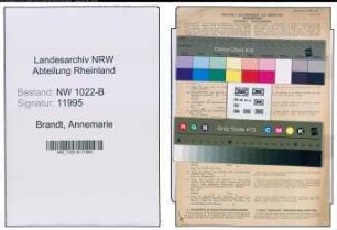 Entnazifizierung Annemarie Brandt , geb. 01.09.1901 ()