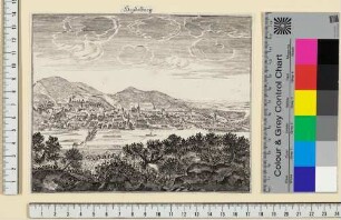 Heidelberg, Stadt und Schloss von Norden