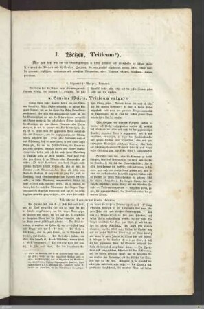 Text und Illustrationen