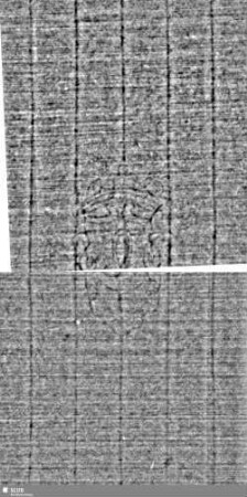Posthornschild (gekrönt) / IDM = S.3/4+25/26