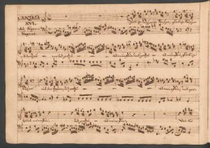 Spielt ihr Seufzer; S, cemb; c-Moll