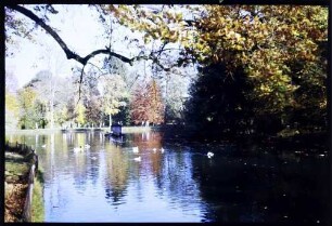 Donaueschingen: am Teich