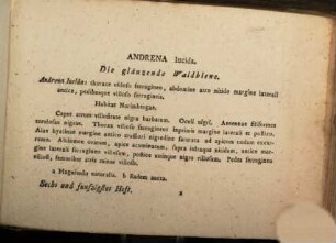 Faunae insectorum Germanicae initia oder Deutschlands Insecten. 56. [1798]