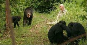 Jane's Journey - Die Lebensreise der Jane Goodall