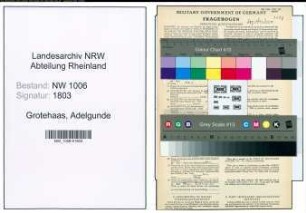 Entnazifizierung Adelgunde Grotehaas , geb. 07.03.1902 ()