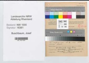 Entnazifizierung Josef Buschbaum, geb. 12.11.1898 (Geschaeftsfuehrer)