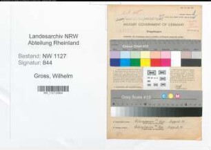 Entnazifizierung Wilhelm Gross , geb. 10.05.1901 (Lehrer)
