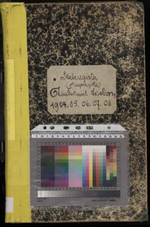 Sterberegister des Standesamtes Liesborn von 1904 (Urkunden-Nr. 1-48), von 1905 (Urkunden-Nr. 1-53), von 1906 (Urkunden-Nr. 1-39), von 1907 (Urkunden-Nr. 1-48) und von 1908 (Urkunden-Nr. 1-60)