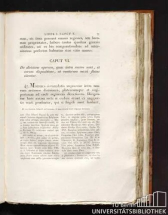 Caput VI. De divisione operum, quae intra muros sunt, et eorum dispositione, ut ventorum noxii flatus vitentur