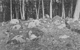 Blockwall, südlich von Fürstenwerder in der Uckermark : Geologie | Geologische Charakterbilder | Die Endmoränen im norddeutschen Flachlande
