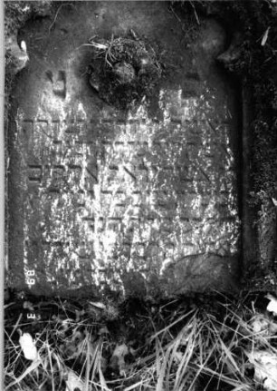 Grabstein 161 (Index: 99792276) Material: Sandstein Zustand: stark verwittert mit großem Textverlust, untere Hälfte der Stele fehlt, Stele liegend Maße HxBxT: 78x63x14 cm Beschreibung: ädikulaartige Stele mit Halbsäulen, Rundbogenabschluß, Schriftfeld eingetieft Symbolik: Blüte: Grabstein 161 (Detailaufnahme)