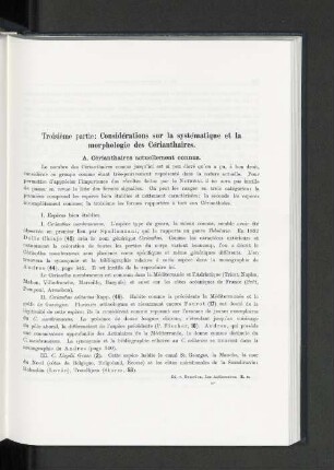 A. Cérianthaires actuellement co