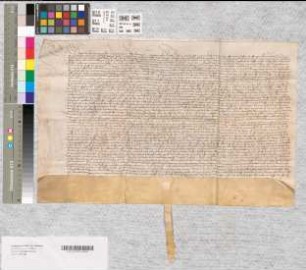 Schutzbrief Wilhelm des Älteren, Landgraf zu Hessen, für das Fürstentum Corvey und die Stadt Corvey.