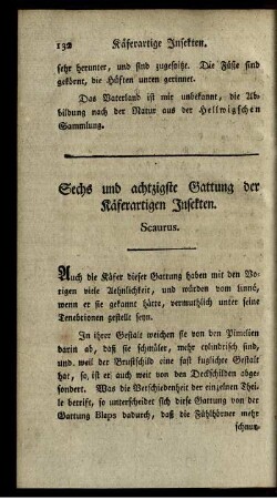 Sechs und achtzigste Gattung der Käferartigen Insekten. Scaurus.