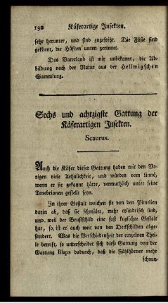 Sechs und achtzigste Gattung der Käferartigen Insekten. Scaurus.