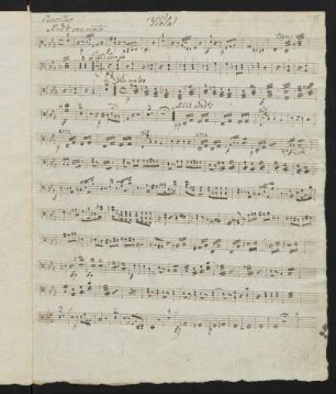 15-18 Viola