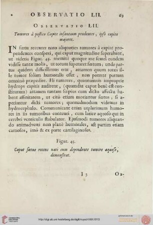 Observatio LII