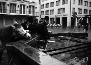 Freiburg: Zwei Reiterinnen am Münsterbrunnen