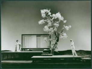 Madame Butterfly (Giacomo Puccini)