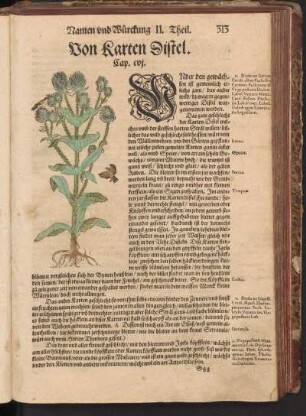 Von Karten Distel, Cap. CVI