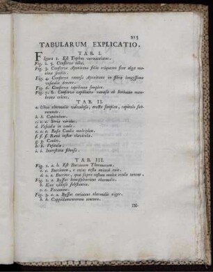 Tabularum Explicatio.