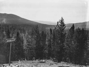 Shoshone Lake : Blick über Bergwälder auf den Shoshone Lake im Hintergrund