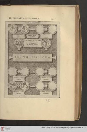 Bellvm persicvm