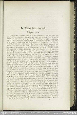 I. Eiche (Quercus, L.)