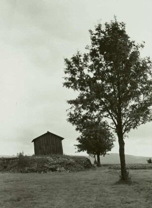 Johanngeorgenstadt, Gottes Glücker Tagschacht oder Richtschacht