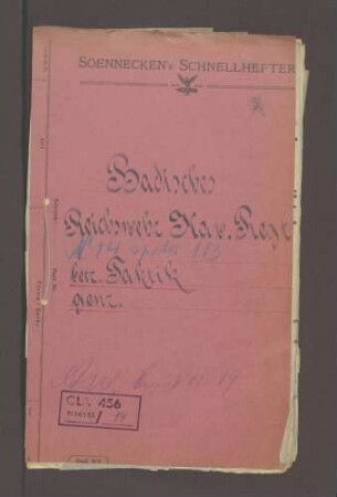 Bildung der vorläufigen Reichswehr