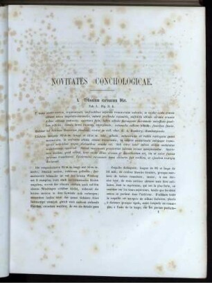 Novitates Conchologicae.