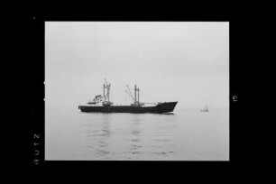 Albatross (1957), Argo Reederei.- Argo Reederei Richard Adler & Söhne, Bremen