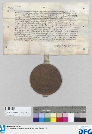 König Sigismund gebietet der Stadt Nürnberg, die jährliche Reichssteuer für das Jahr 1424 dem Grafen Ludwig von Otingen auszubezahlen.