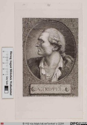 Bildnis Alexander Trippel