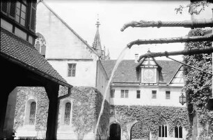 Tübingen-Bebenhausen: Hof des Schlosses mit Wasserspeiern des Brunnens