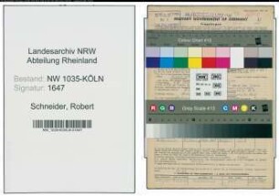 Entnazifizierung Robert Schneider , geb. 08.04.1909 (Steiger)