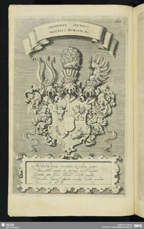 Insignia Domus Mechelburgiacae