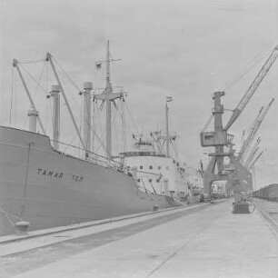 Urlaubsbilder Rostock 64 : Rostock. AK Handelsschiff M.V. Tamar im Hafen