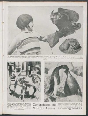 Curiosidades del mundo animal