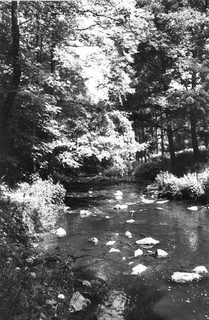 Löbau-Bellwitz. Löbauer Wasser im Skalatal