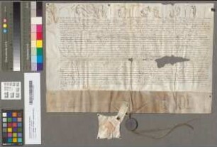 Päpstliche Provision für Theodericus Severus, bisher Kanoniker zu Maastricht.