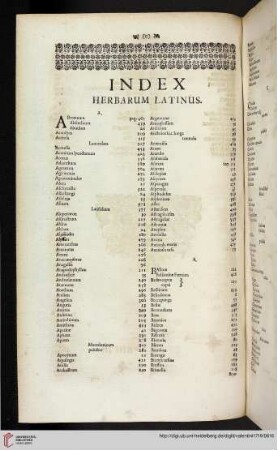 Index herbarum latinus