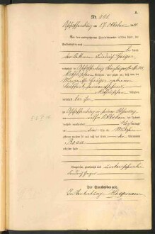 Standesamtsbuch der Stadt Aschaffenburg: Geburten 365/1900 - 184/1901