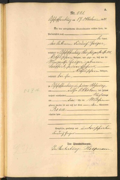 Standesamtsbuch der Stadt Aschaffenburg: Geburten 365/1900 - 184/1901