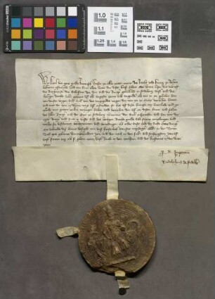 Friedberg: Kaiser Karls IV. Verzeihung der vorgefallenen Exzesse
