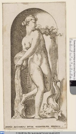 Thetis